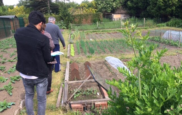 Le jardin, notre avenir ?