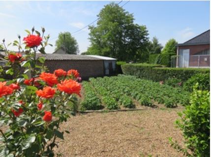 Les jardins d’antan