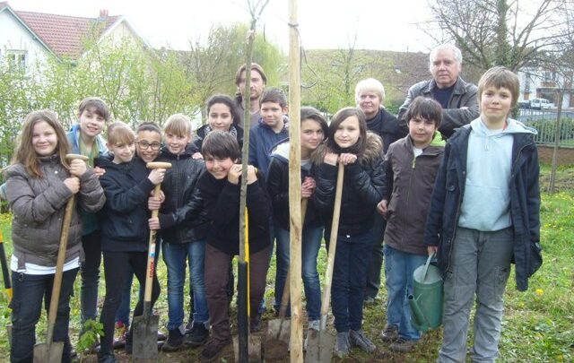 Les élèves du collège Guy Mollet de Lomme replantent le décor de la cité-jardin des cheminots