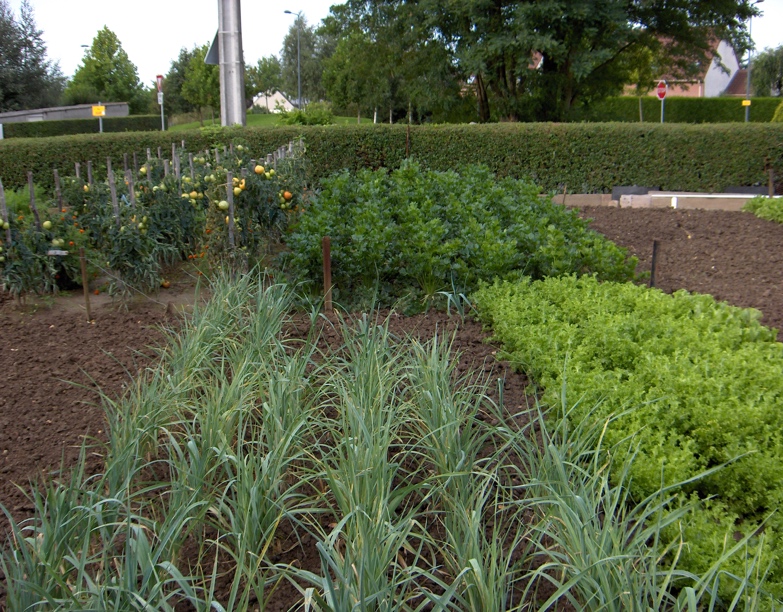 Vers une agriculture de proximité ?