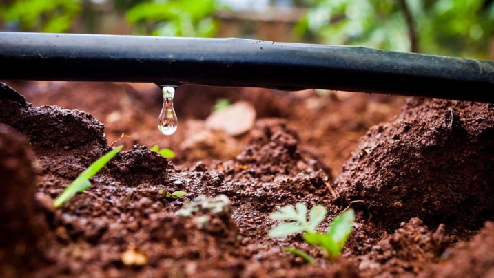 L’eau, un élément très précieux.